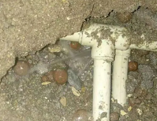 涞水县卫生间测漏