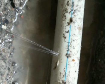 涞水县卫生间测漏水多少钱