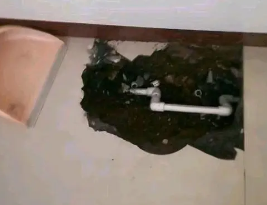 涞水县卫生间测漏水多少钱